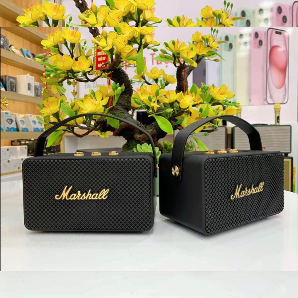 Marshall M10 Portable Bluetooth Speaker  A Grade. 