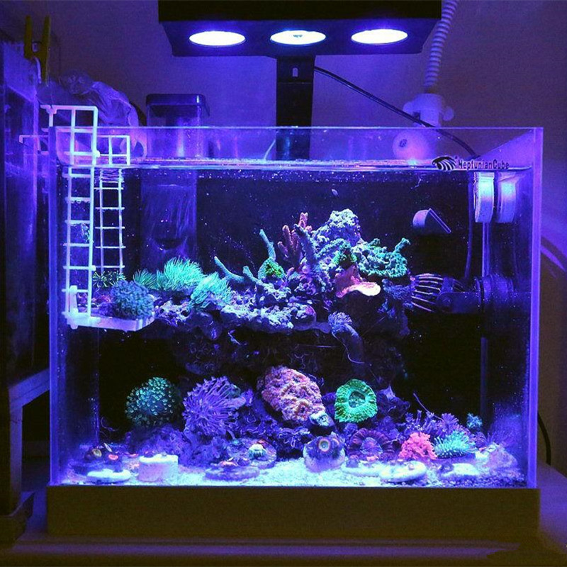 Spectra Nano 029 Aquarium Light 30W Saltwater Lighting with Touch ...