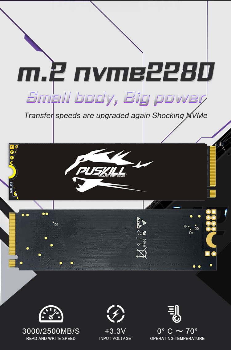 PUSKILL SSD M.2 NVMe 1TB 512GB 256GB 128GB PCIe M2 2280 Hard Disk