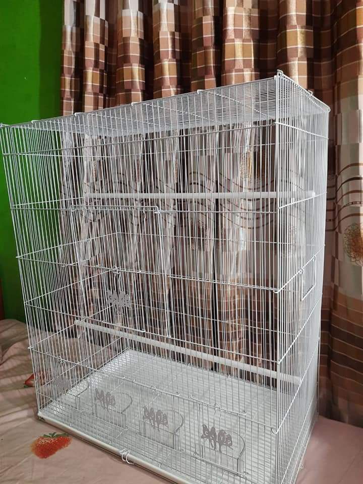 Large bird cage. 