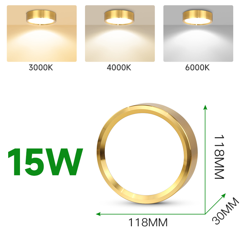 LED Downlight 220V Spot Three Colors Dimming Modern Home Decoration ...