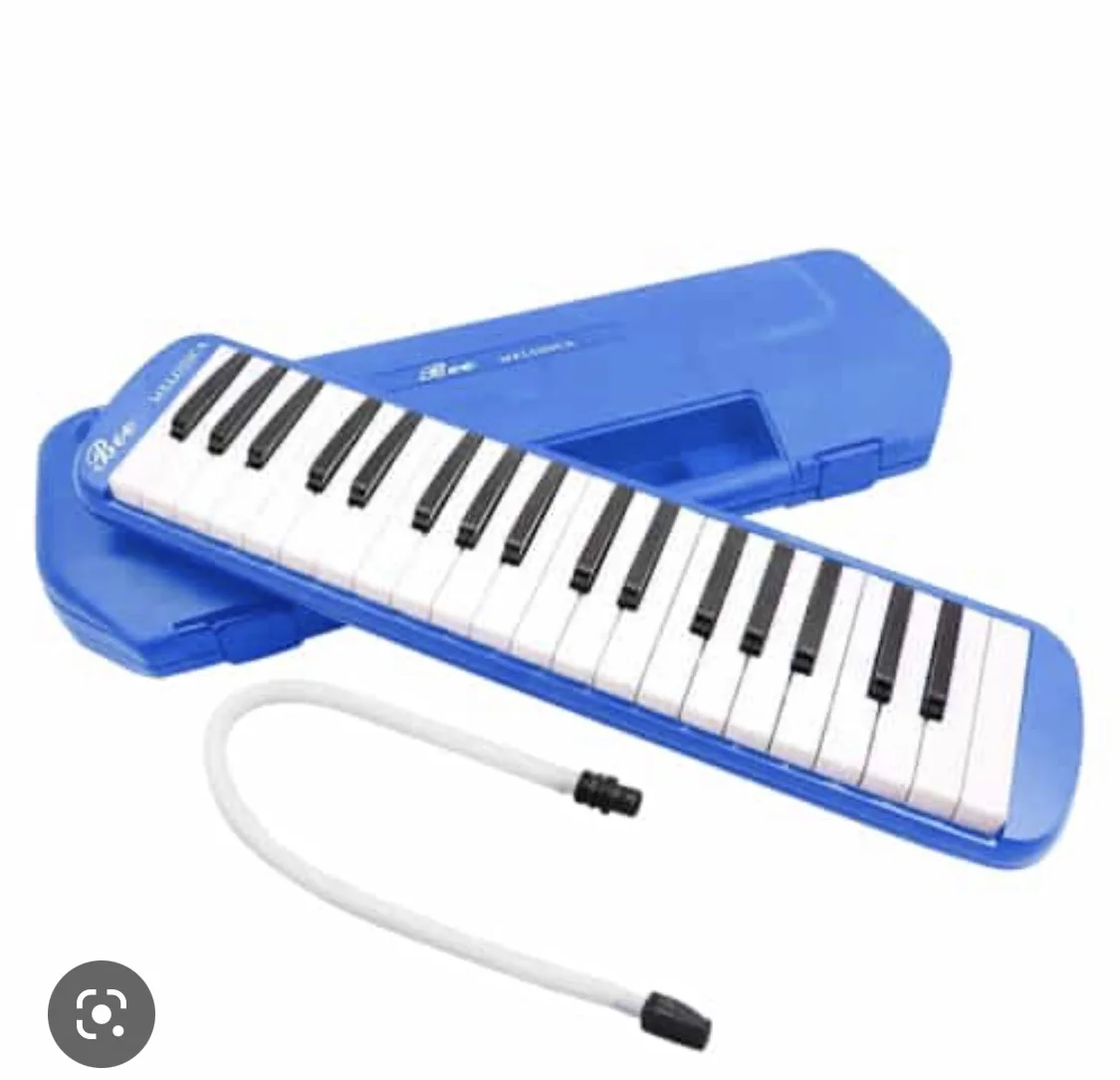 37 key deals melodica