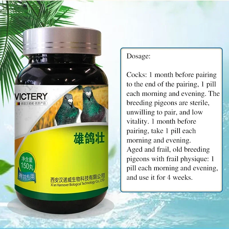 To stimulate the breeding potential of homing pigeons paired with cock pigeon breeding pigeon health care products 150 pills. 
