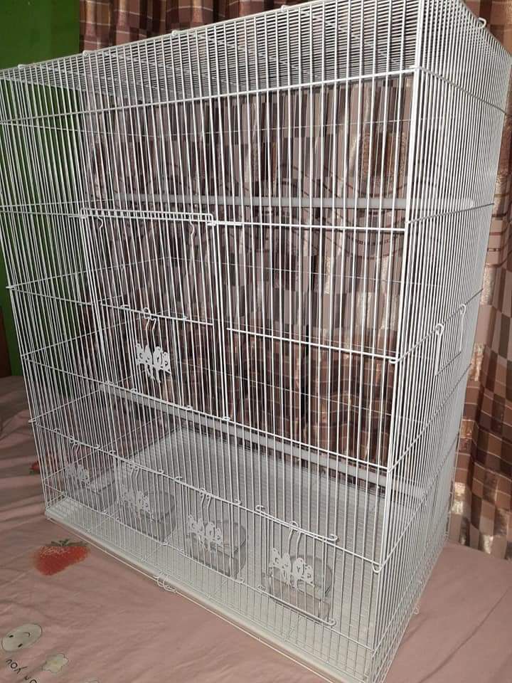 Large bird cage. 
