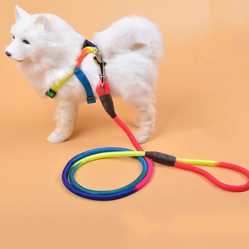 pet small dog Durable Nylon Rainbow 1.2M leash Walking Training Leash. 