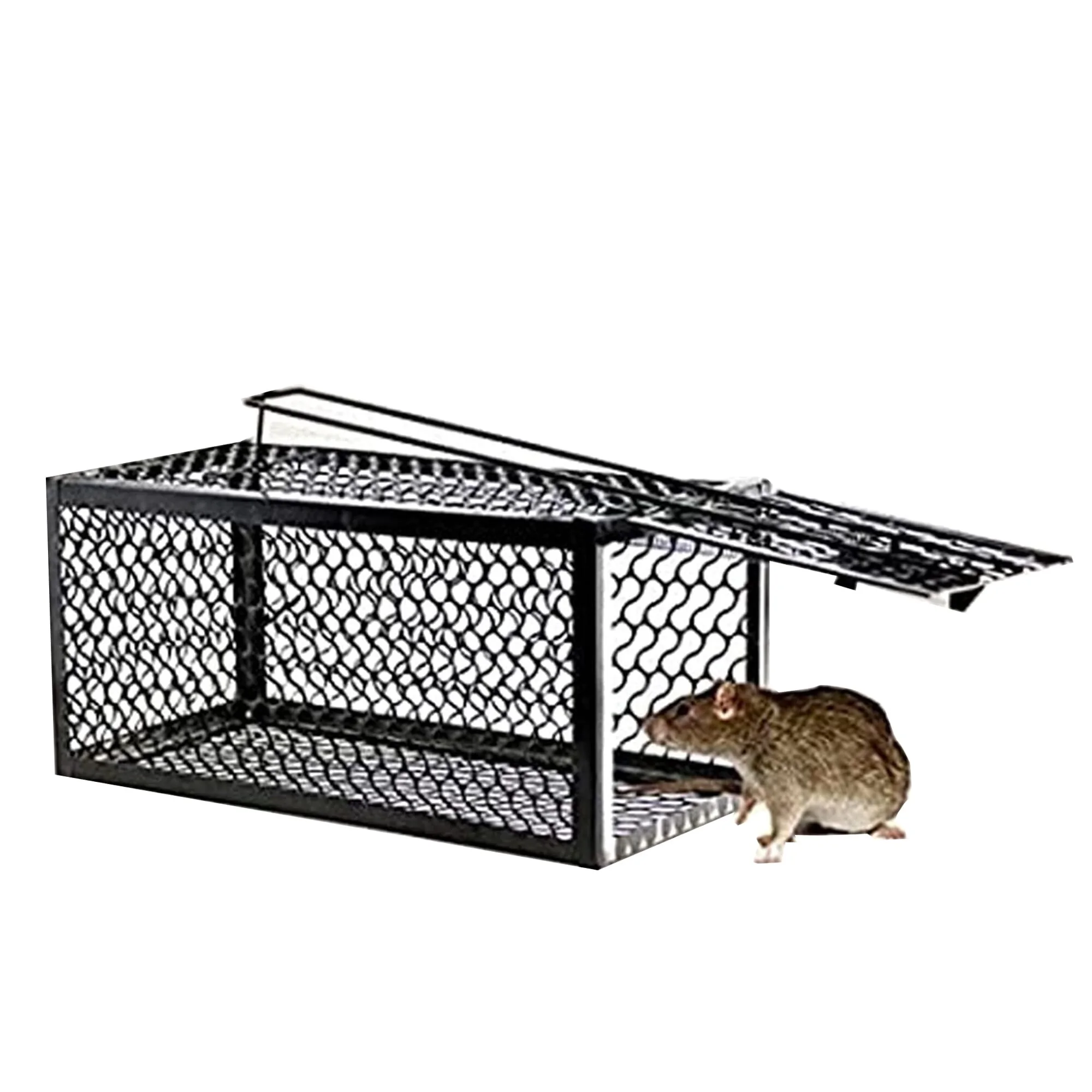  Kittmip 6 Pieces Humane Rat Trap Chipmunk Rodent Traps 10.6 x  5 x 5 Inch Small Mouse Trap Squirrel Trap No Kill Animal Trap Live Rat Trap  for Indoor Outdoor