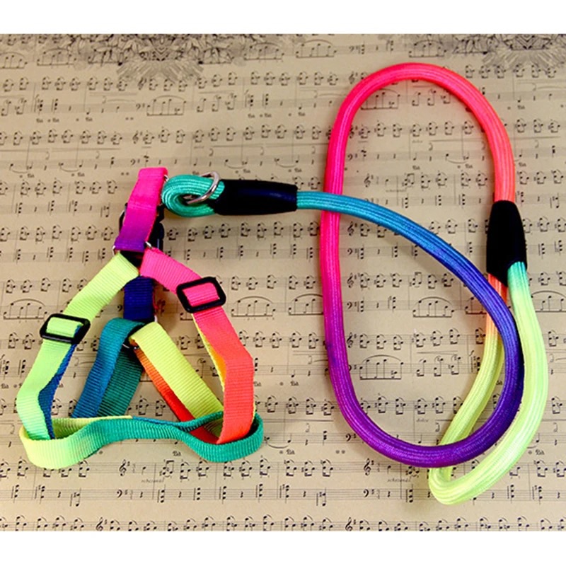 pet small dog Durable Nylon Rainbow 1.2M leash Walking Training Leash