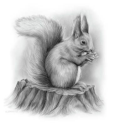 Pencil art.... 