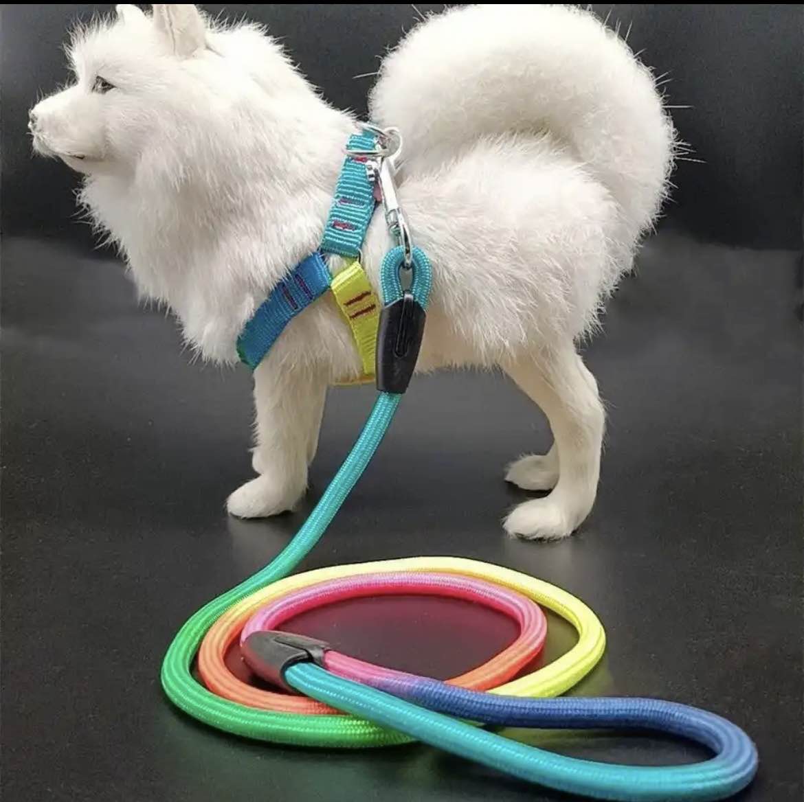 pet small dog Durable Nylon Rainbow 1.2M leash Walking Training Leash. 