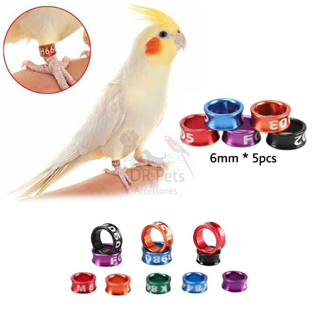 Cockatiel Bird Ring 6mm - 5pcs | Cockatiel Bird Foot Leg Ring | Closed Ring - 5pcs | Cocktail Bird
