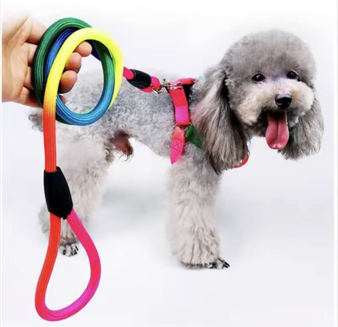 pet small dog Durable Nylon Rainbow 1.2M leash Walking Training Leash. 