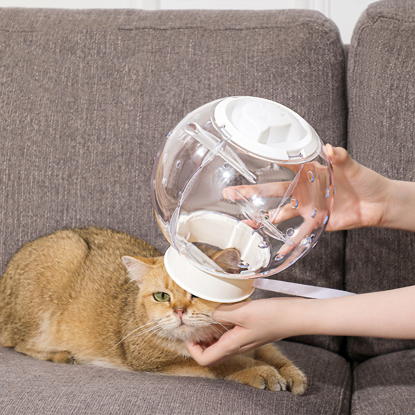 Cat Muzzle Breathable Protective Anti Licking Pet Cat Grooming Hood Cat Helmets Cat Mouth Cover Anti Bite Muzzles For Bathing. 