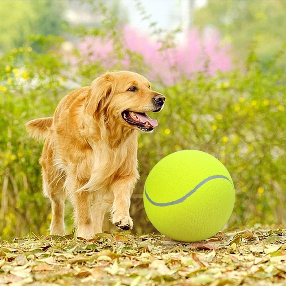 Are Tennis Balls Good For Dogs