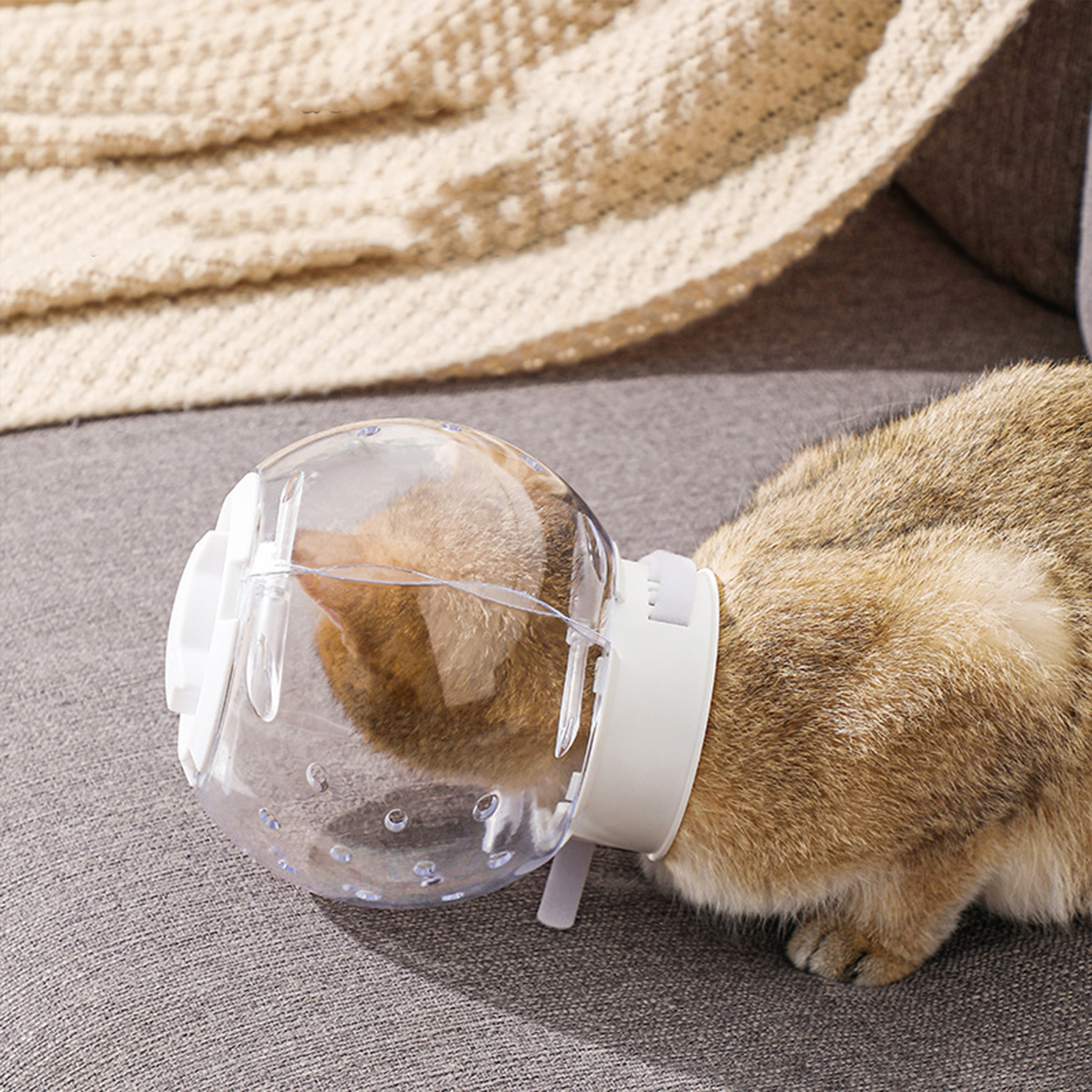 Cat Muzzle Breathable Protective Anti Licking Pet Cat Grooming Hood Cat Helmets Cat Mouth Cover Anti Bite Muzzles For Bathing. 