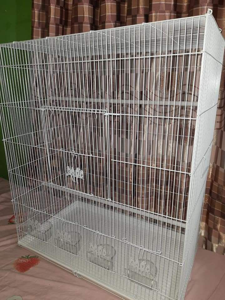 Large bird cage