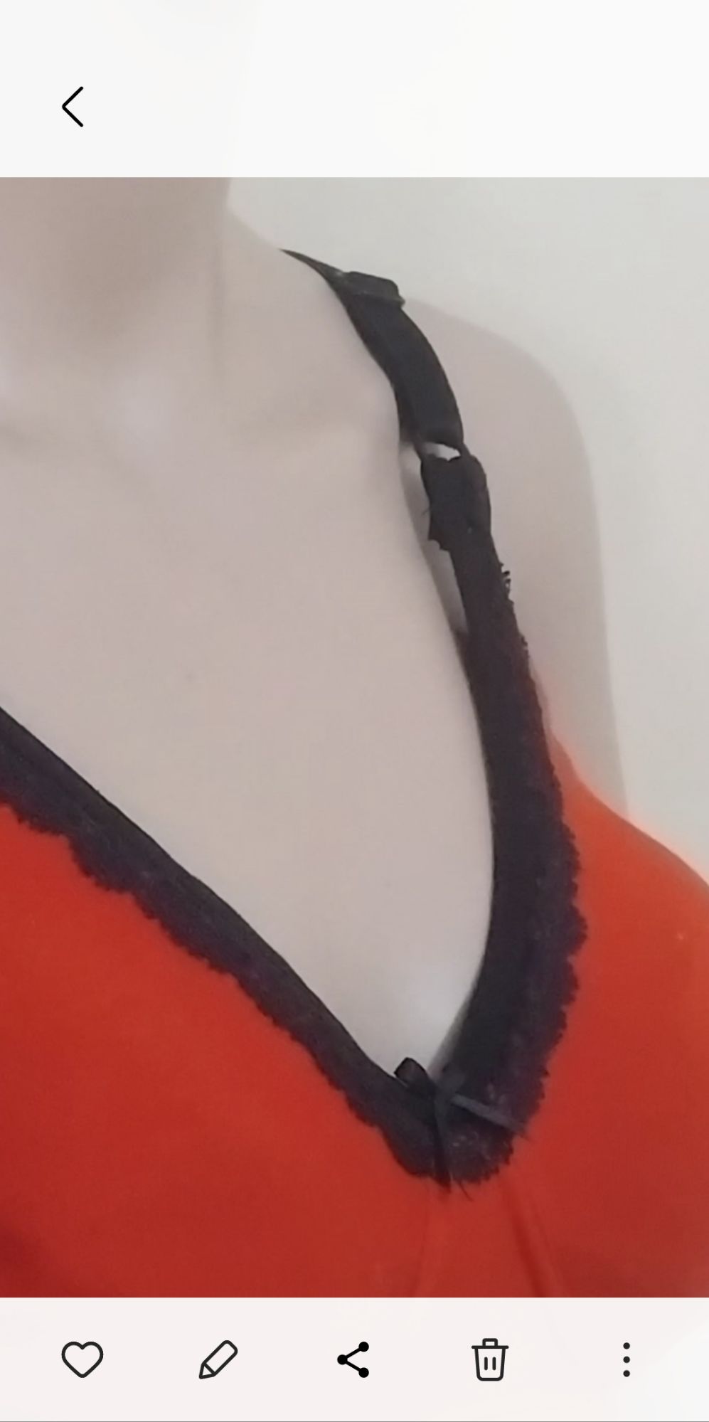 Lace Thin Padded Bra. 