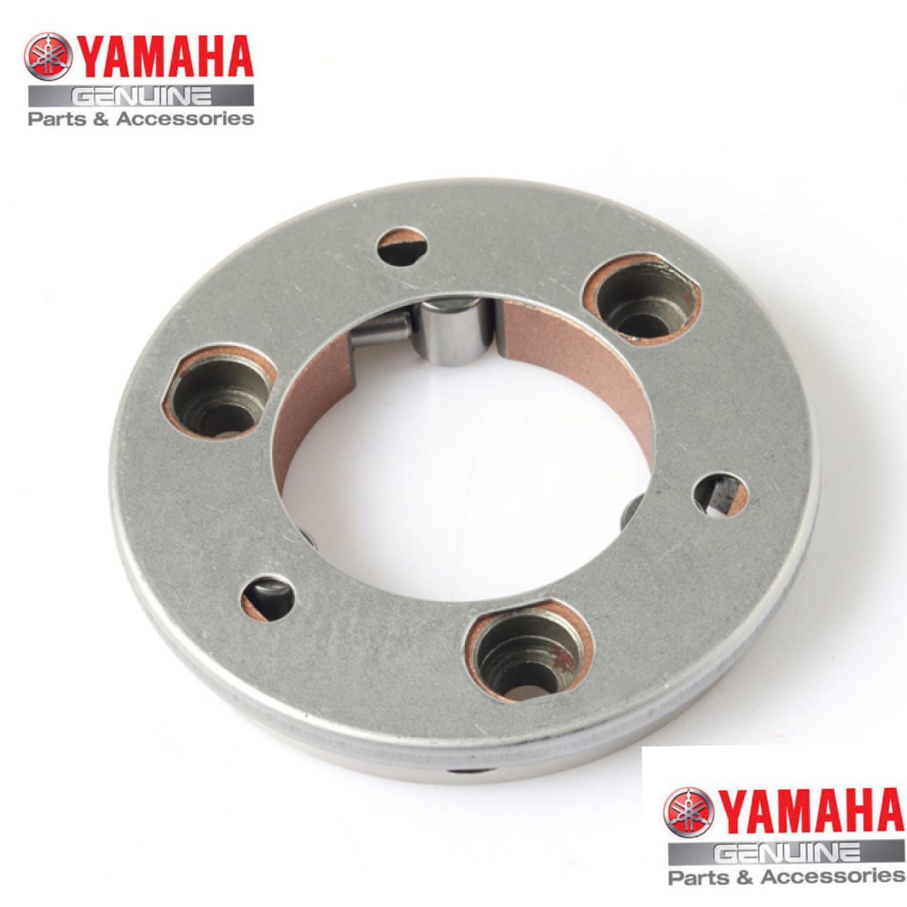 fz self motor price
