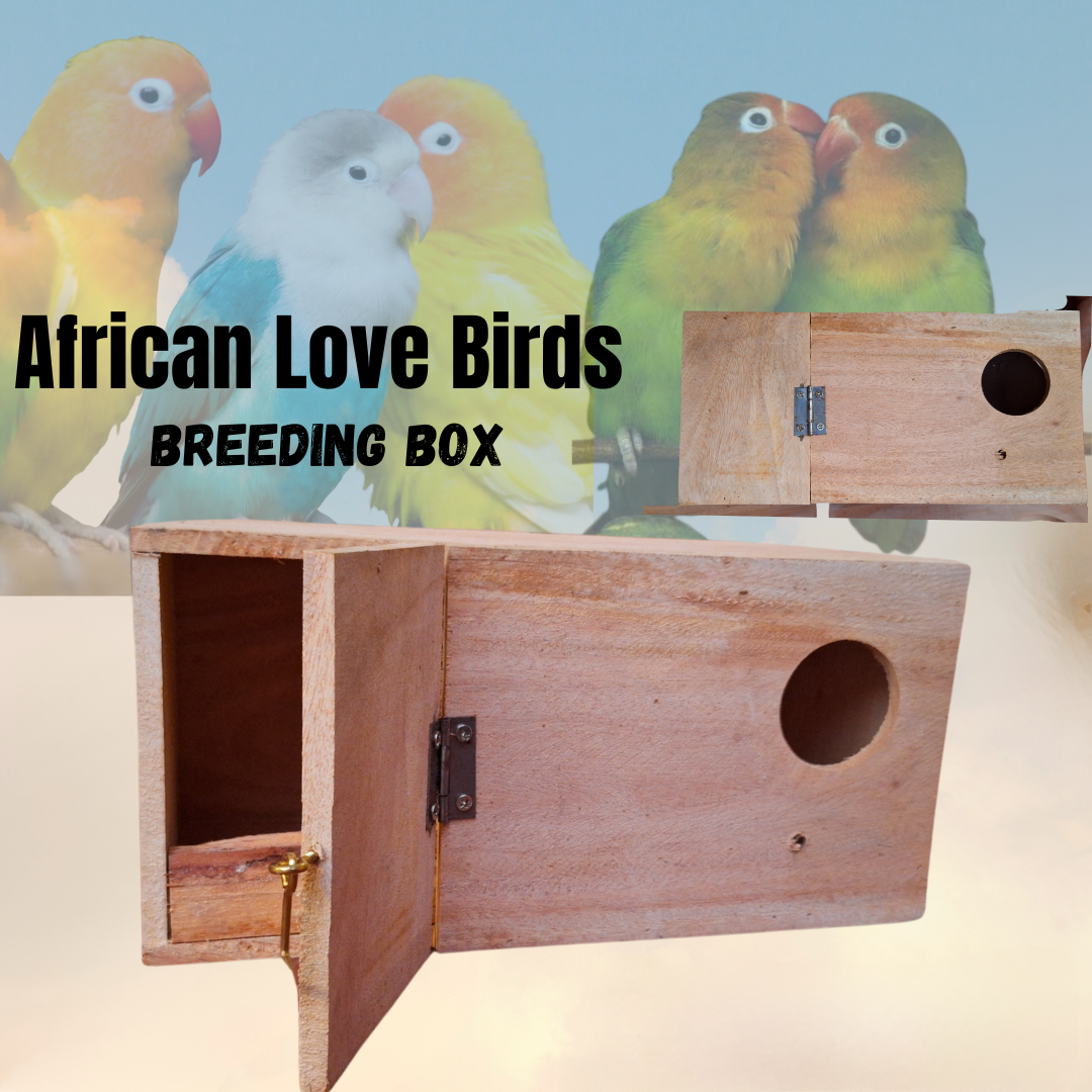 African Love Birds Breeding Box | Bird Nest | Wood Nest Box | Birds house | Lock Type