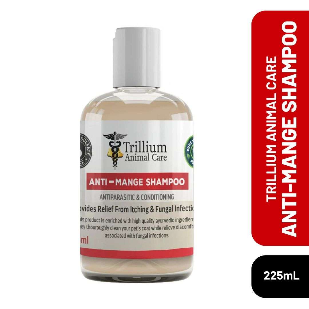 Shellguard dog clearance shampoo