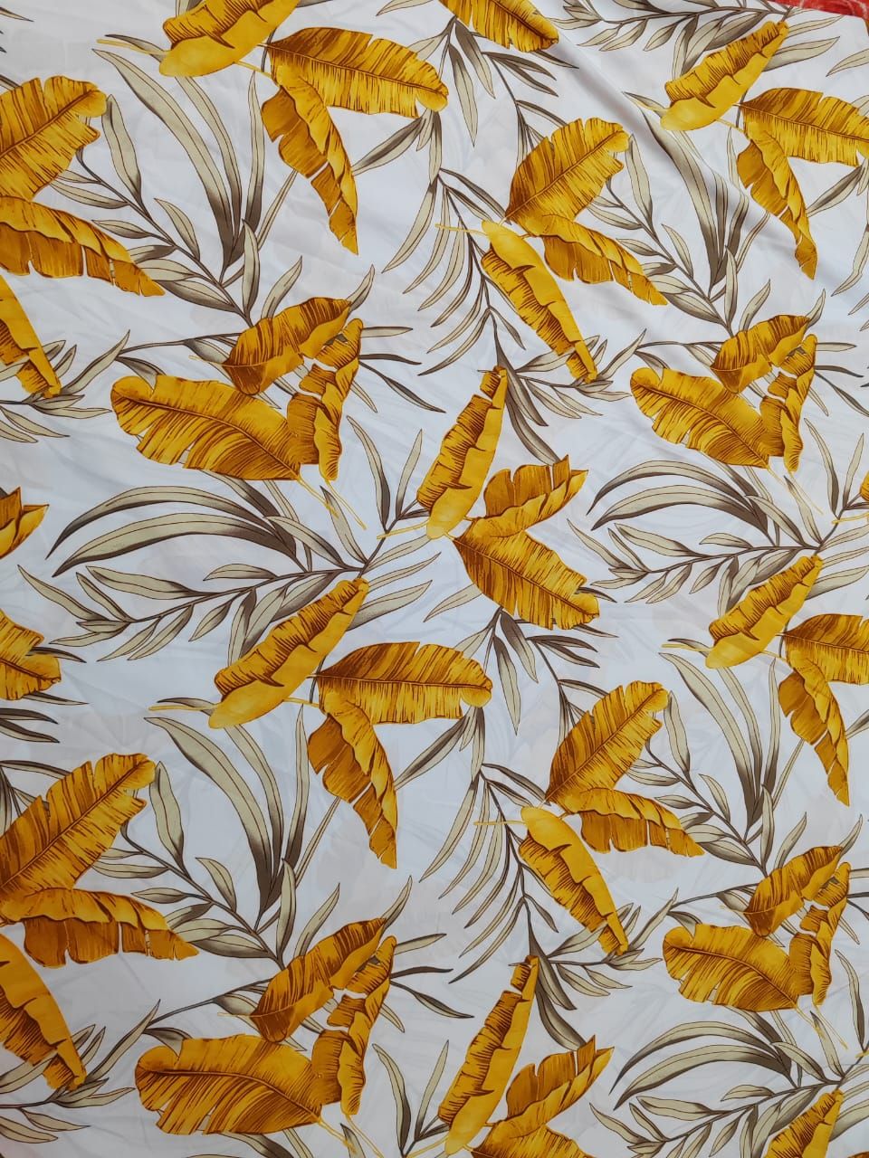 Maza Printed material
3 yards
60"width. 