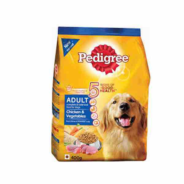 pedigree junior labrador