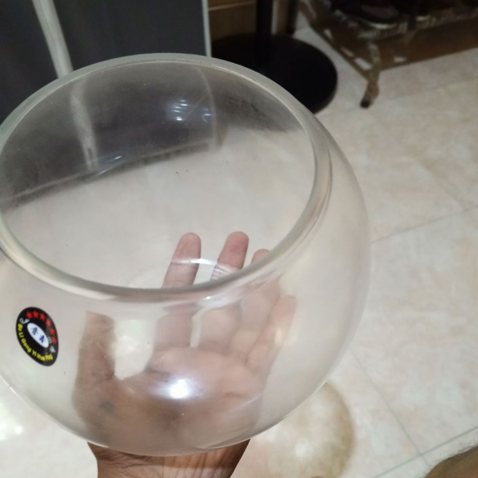 Fish Bowl Aquarium 8inch Bowl Daraz.lk