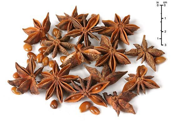 Star Anise 50g/ Biryani mal/ anise flower/ buryani mal