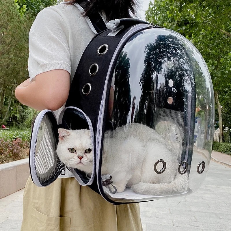 Pet Backpack Cat Bag