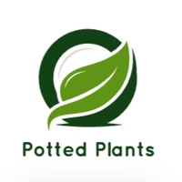 POTTED PLANTS 1650791005: POTTED PLANTS 1650791005 Official Online ...