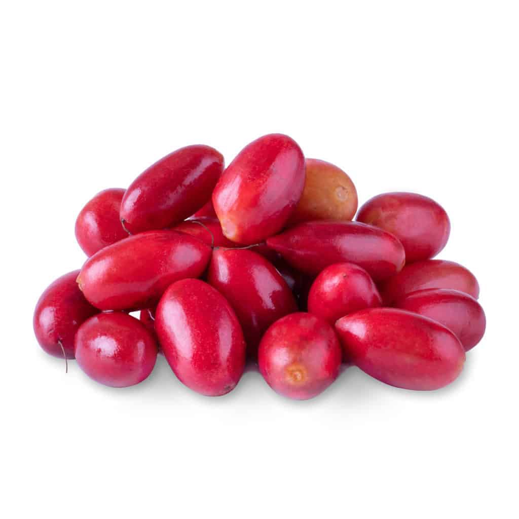 Miracle berry plant. 