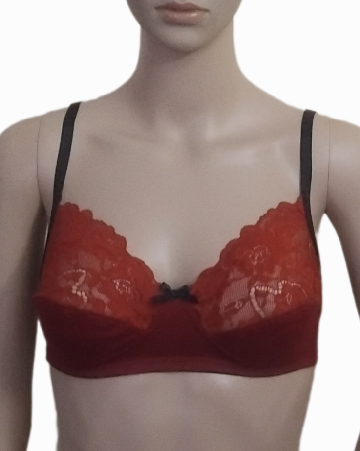 Free 2 Panties Ellenor Lace Bra, Girls Ladies Women Lace Bra. 