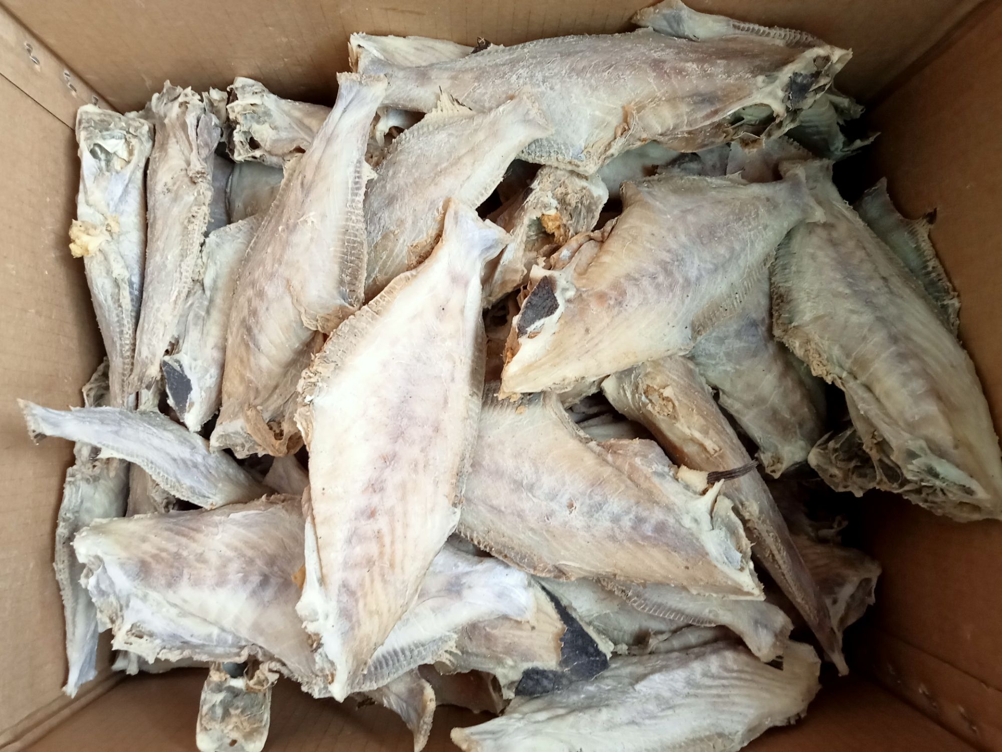 Dried Fish