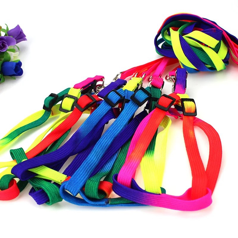 pet small dog Durable Nylon Rainbow 1.2M leash Walking Training Leash. 