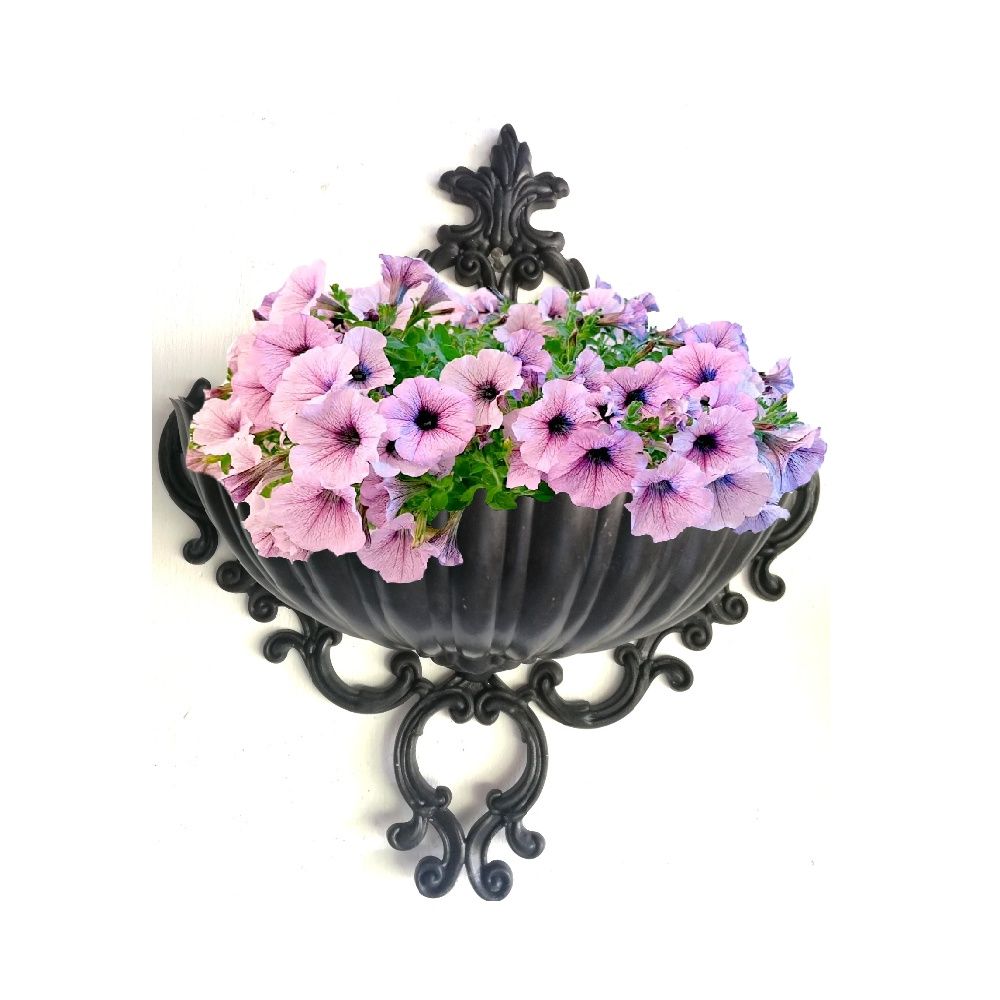 2 Pcs Seashell Wall pots Diameter 42cm width 16cm height 47cm / High quality plastic seashell wall pot Wall mounting flower pot | Daraz.lk