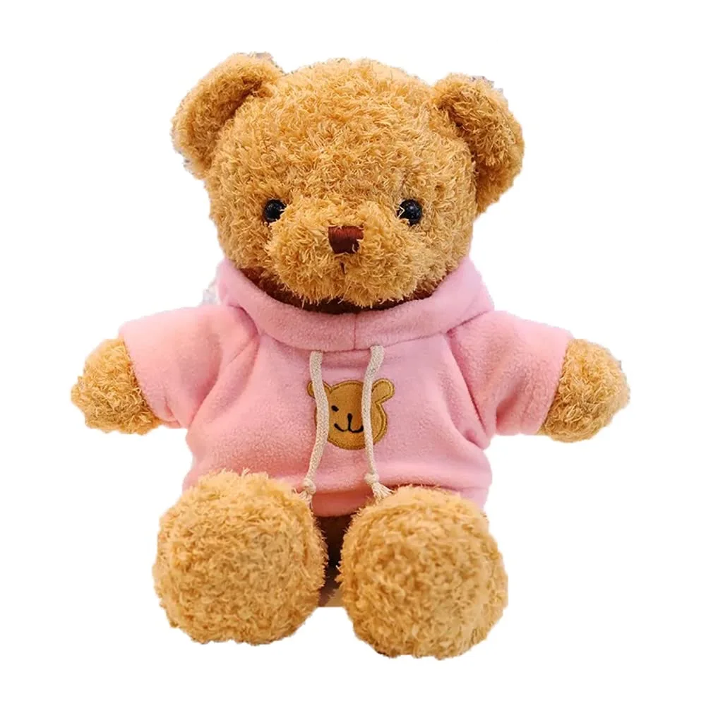 Teddy bear clearance pastel hoodie