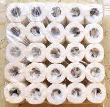 Toilet Paper Bundle 25 Toilet Tissue Paper Roll Sanitary Rolls 2Ply
