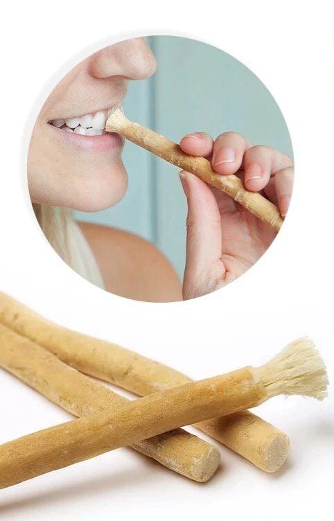 misvak al fazal  Fresh Traditional Natural Toothbrush Misvak Miswak Arak Siwak Miswaak Teeth Whitener Soft Salvadora Persica. 