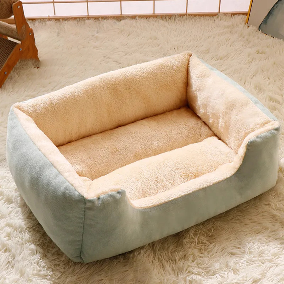 Bed for Cats Pet Products Cushions Kitten Goods Accessories Dog All Houses Supplies Things Accessory Habitats Basket House Beds. 
